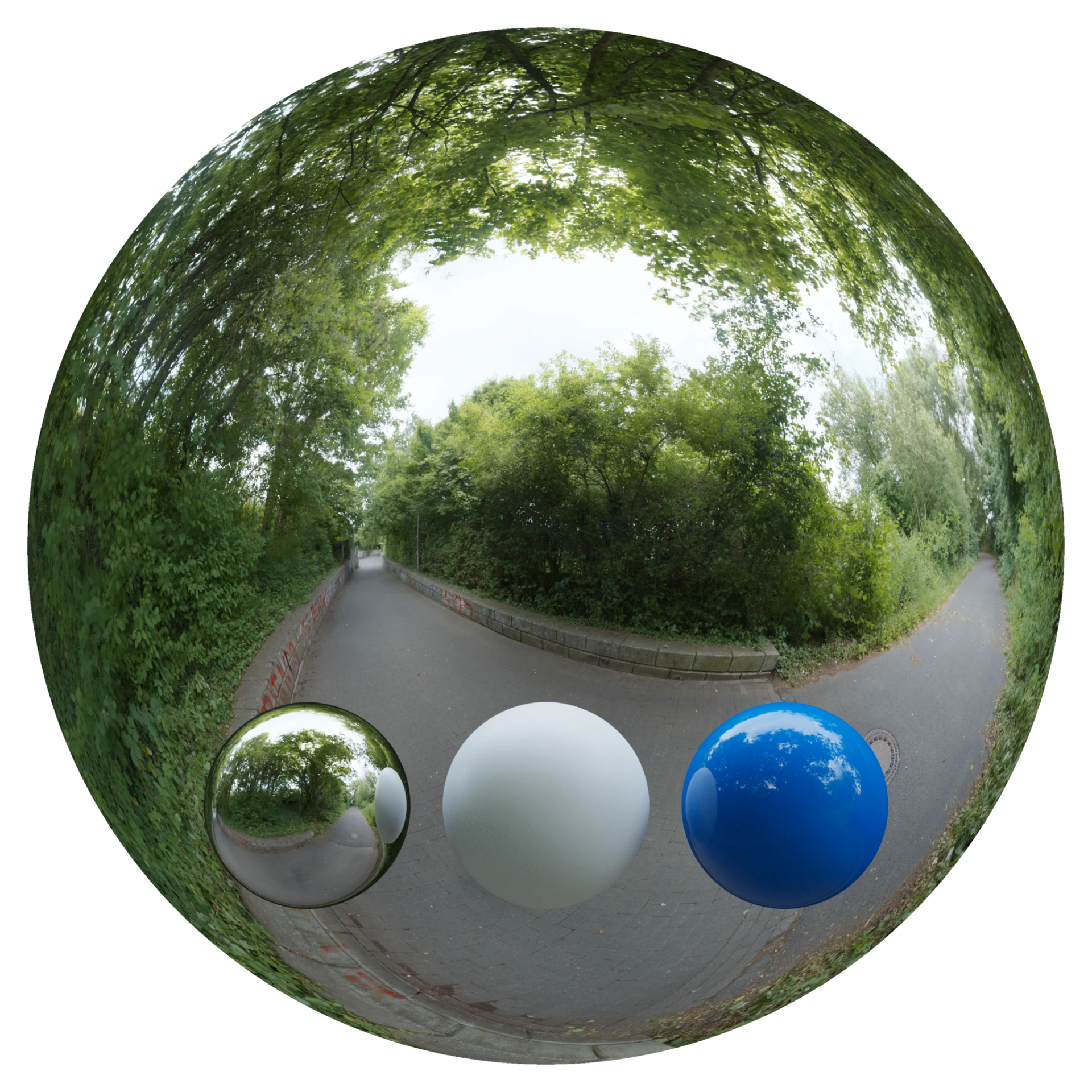 Day Environment HDRI 019