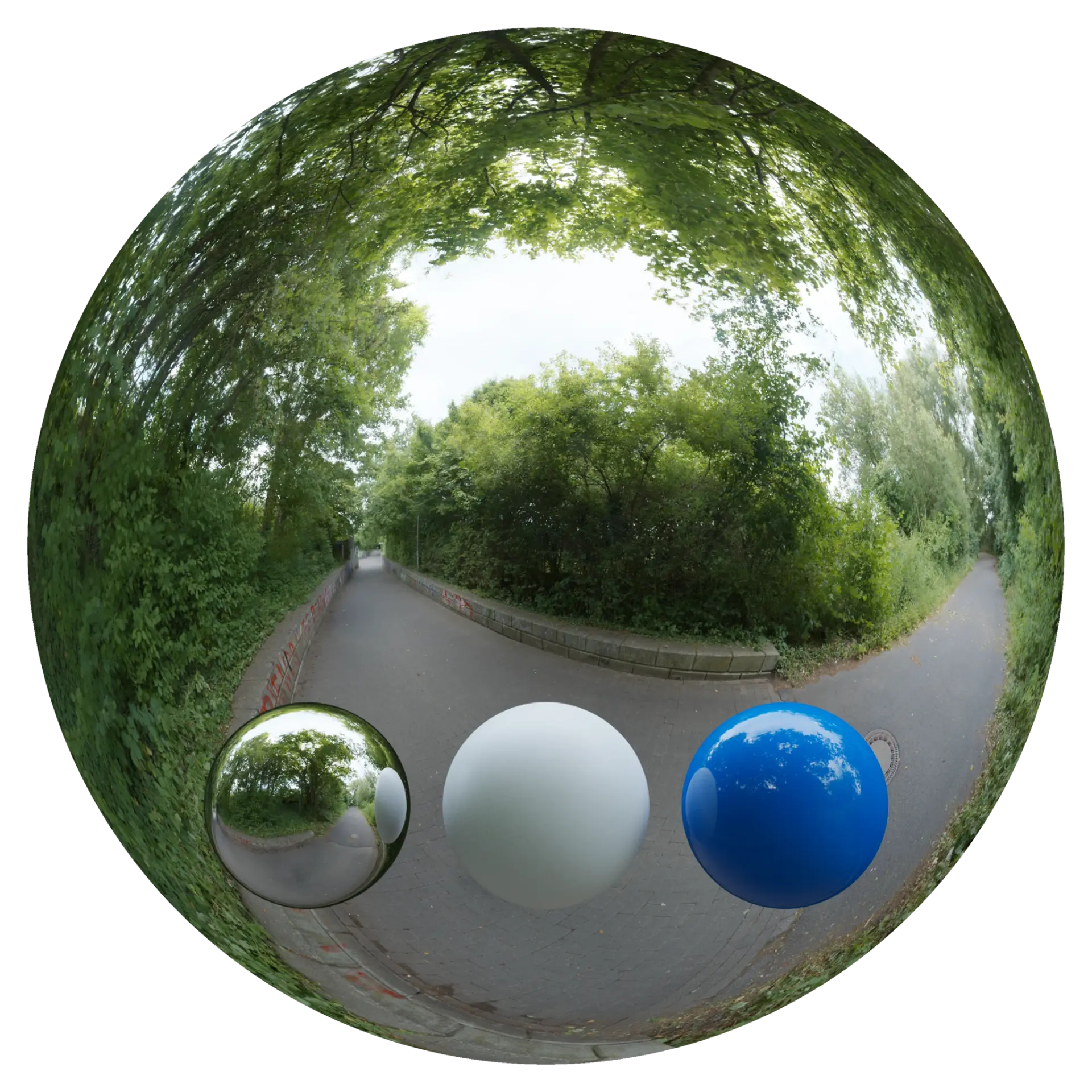 Day Environment HDRI 019