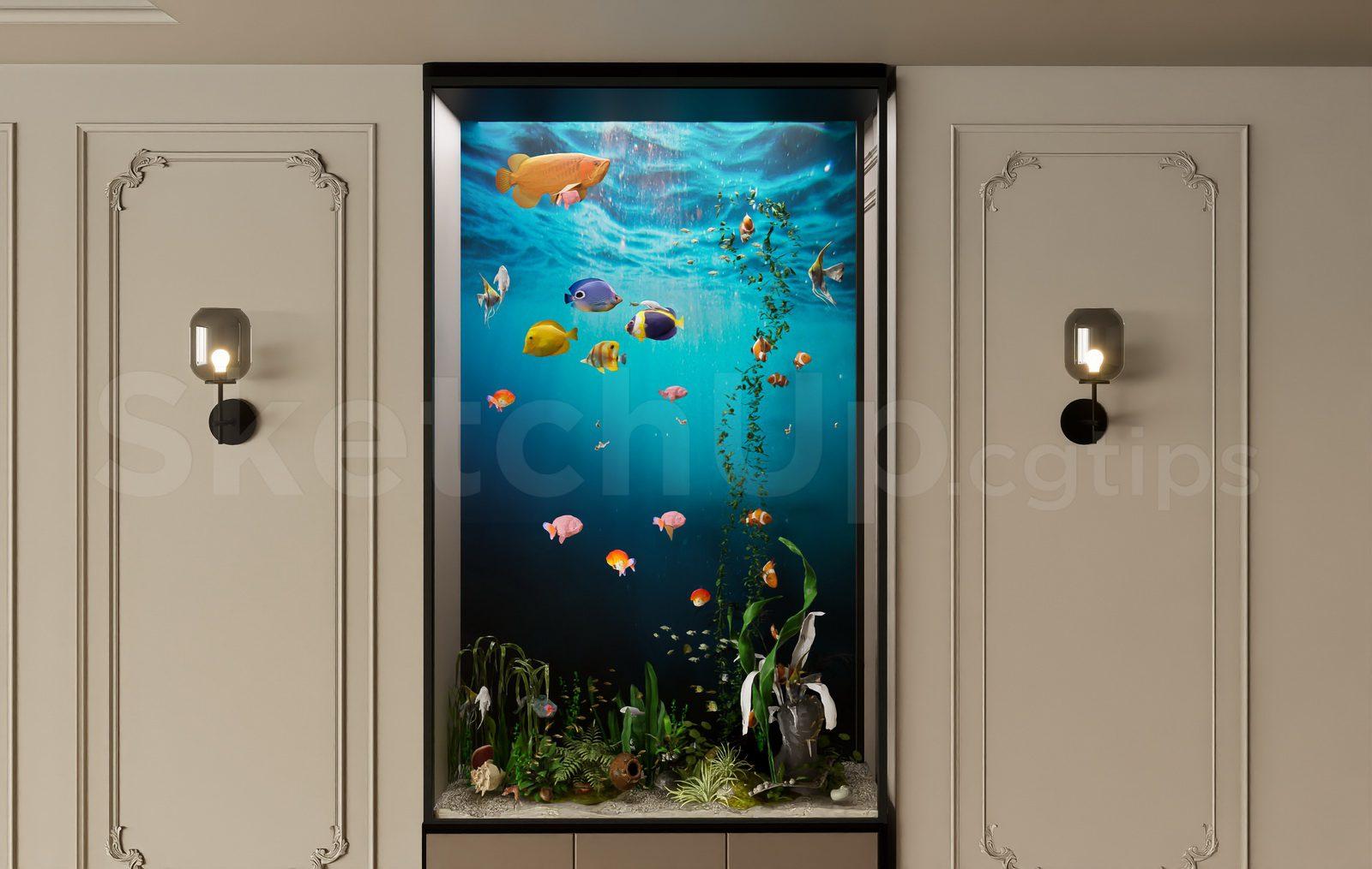 Aquarium Tank