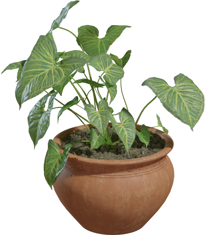 Potted Plant 2