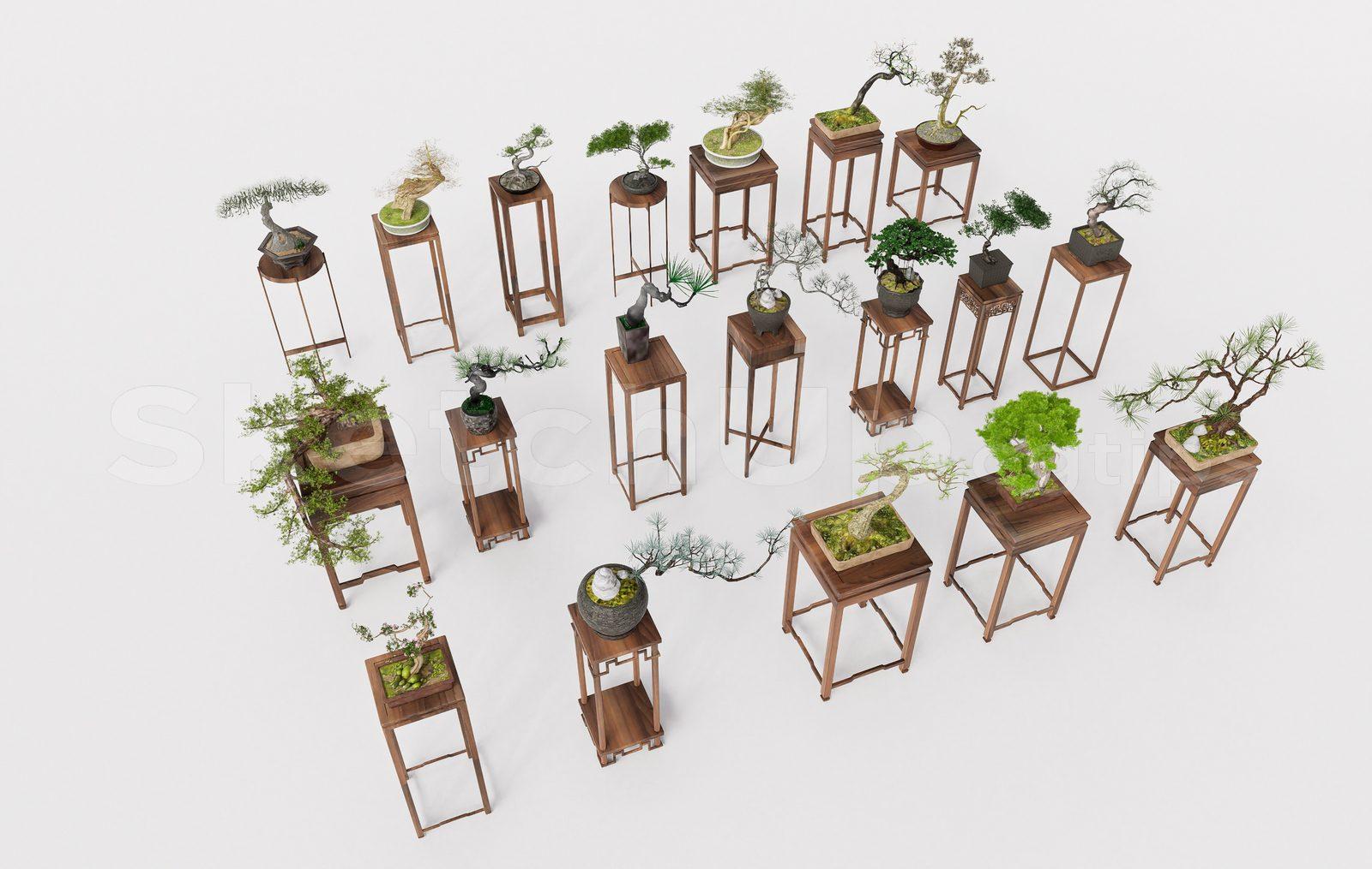 BonSai Tree — preview 1 (cgtips)