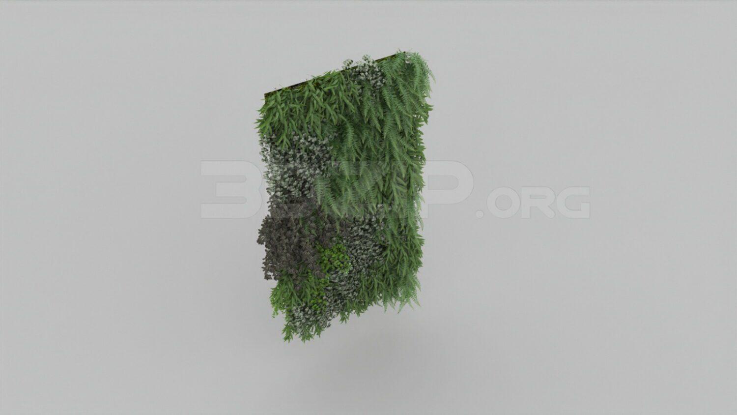Plant