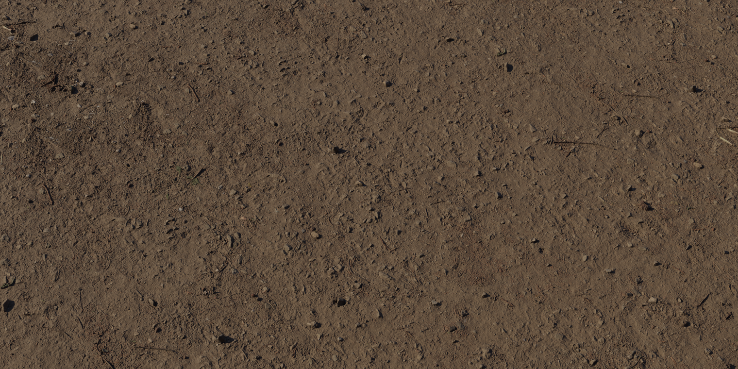 Forest Ground 5