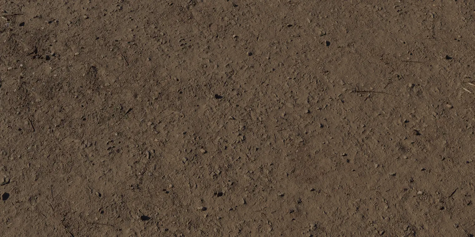 Forest Ground 5