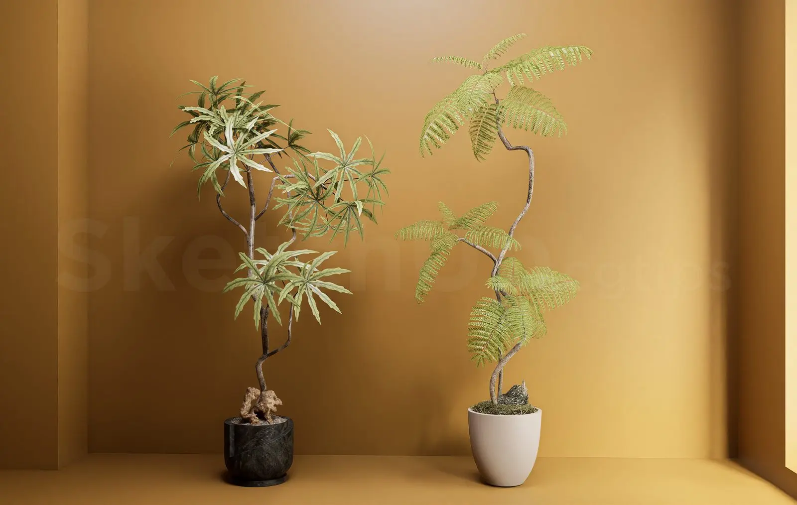 Plant — preview 1 (cgtips)