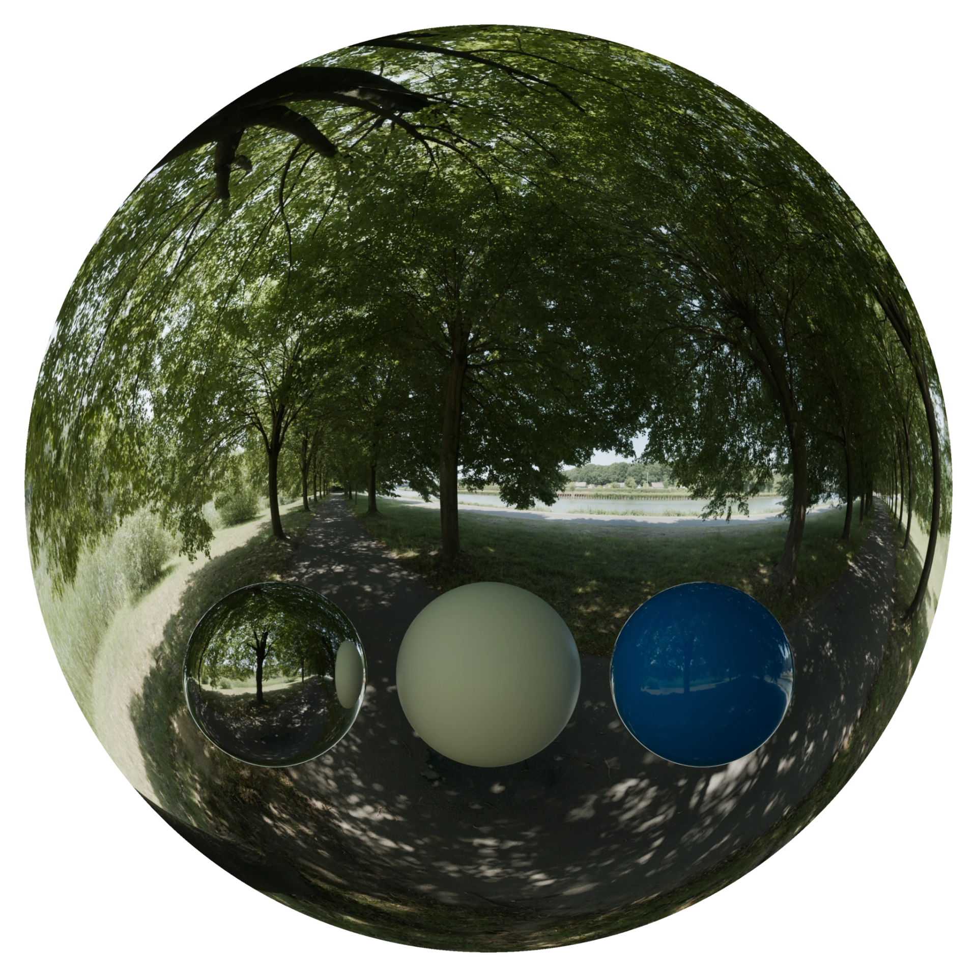 Day Environment HDRI 084