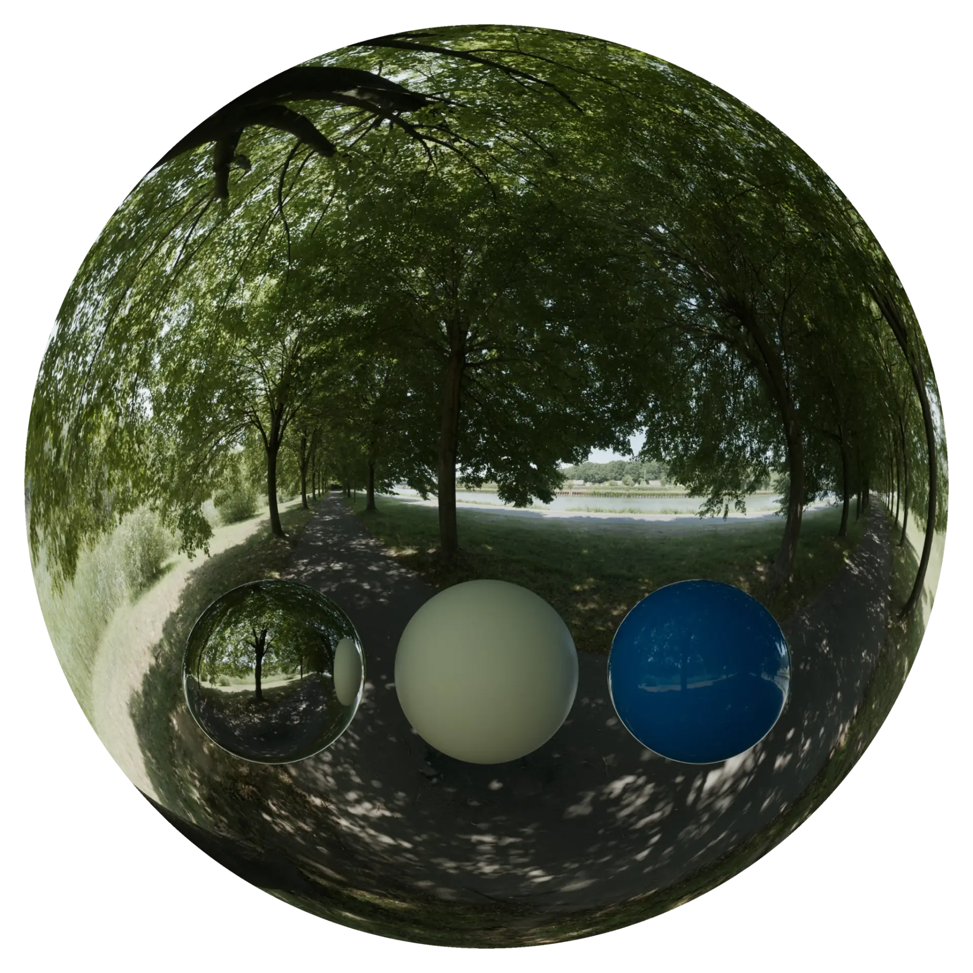Day Environment HDRI 084