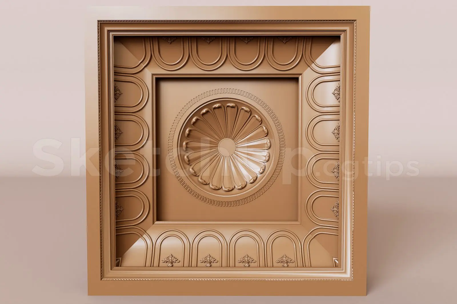 Ceiling Panel