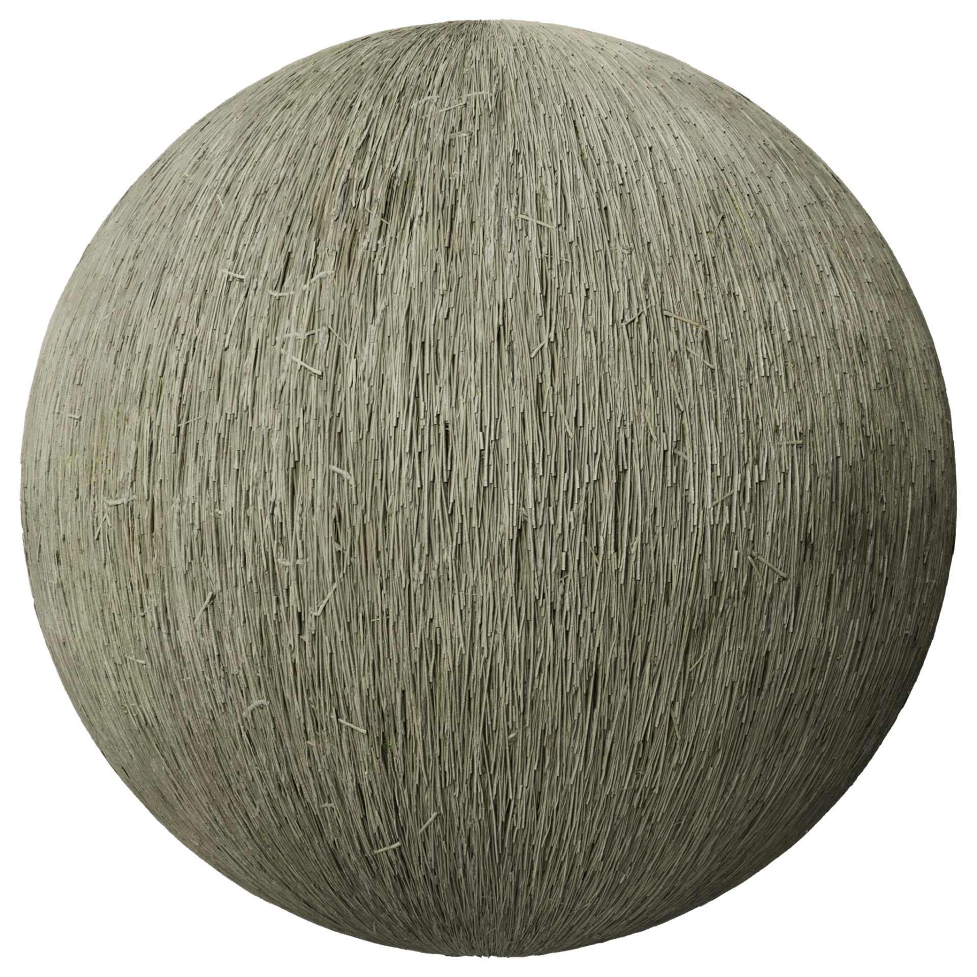 Thatched Roof 002 A