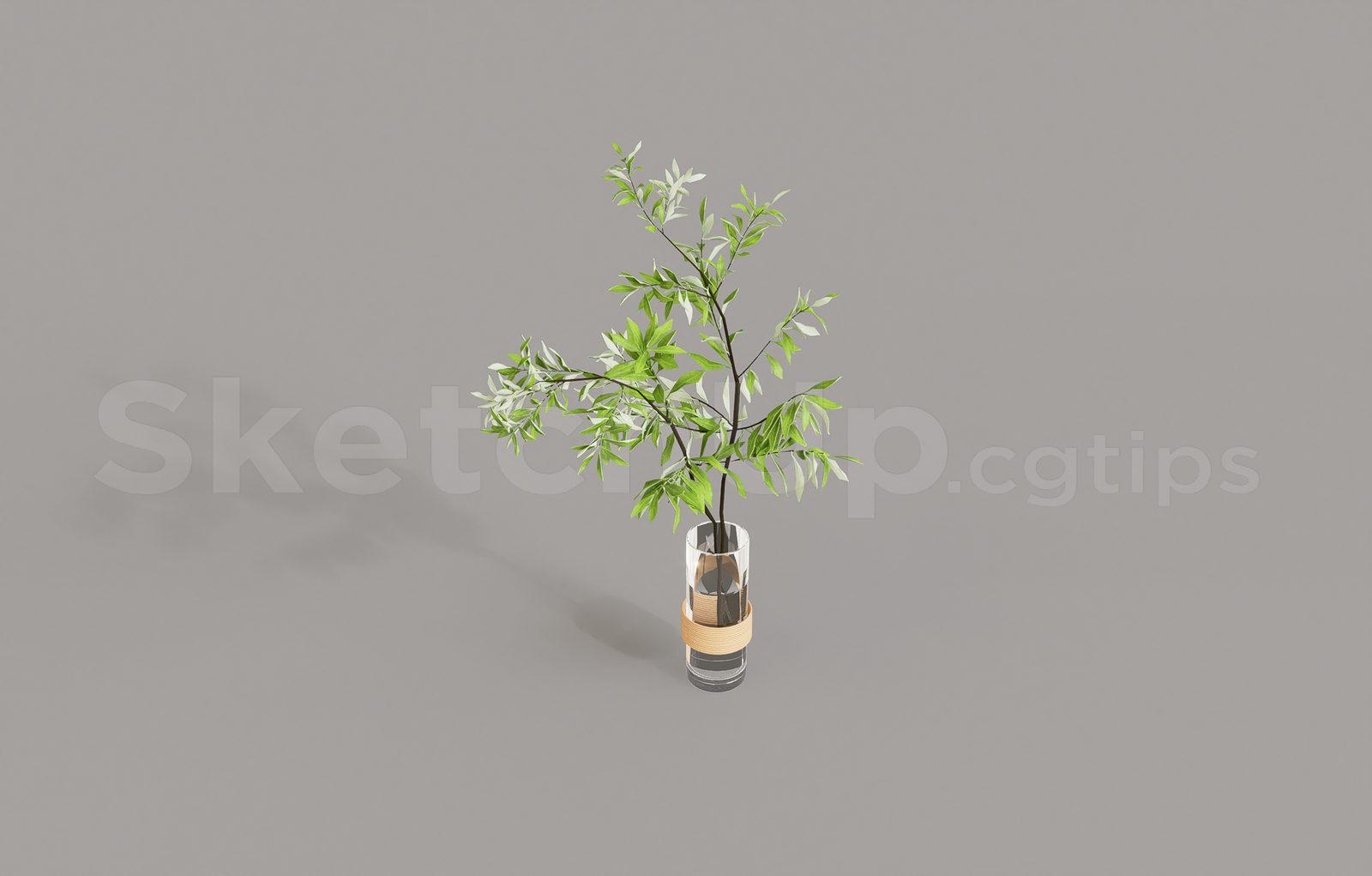 Plant