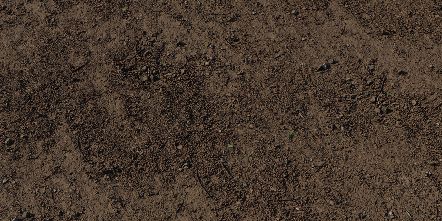 Forest Ground 6