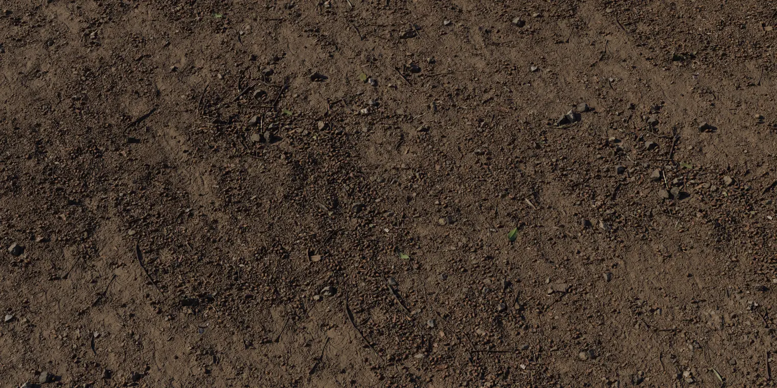Forest Ground 6
