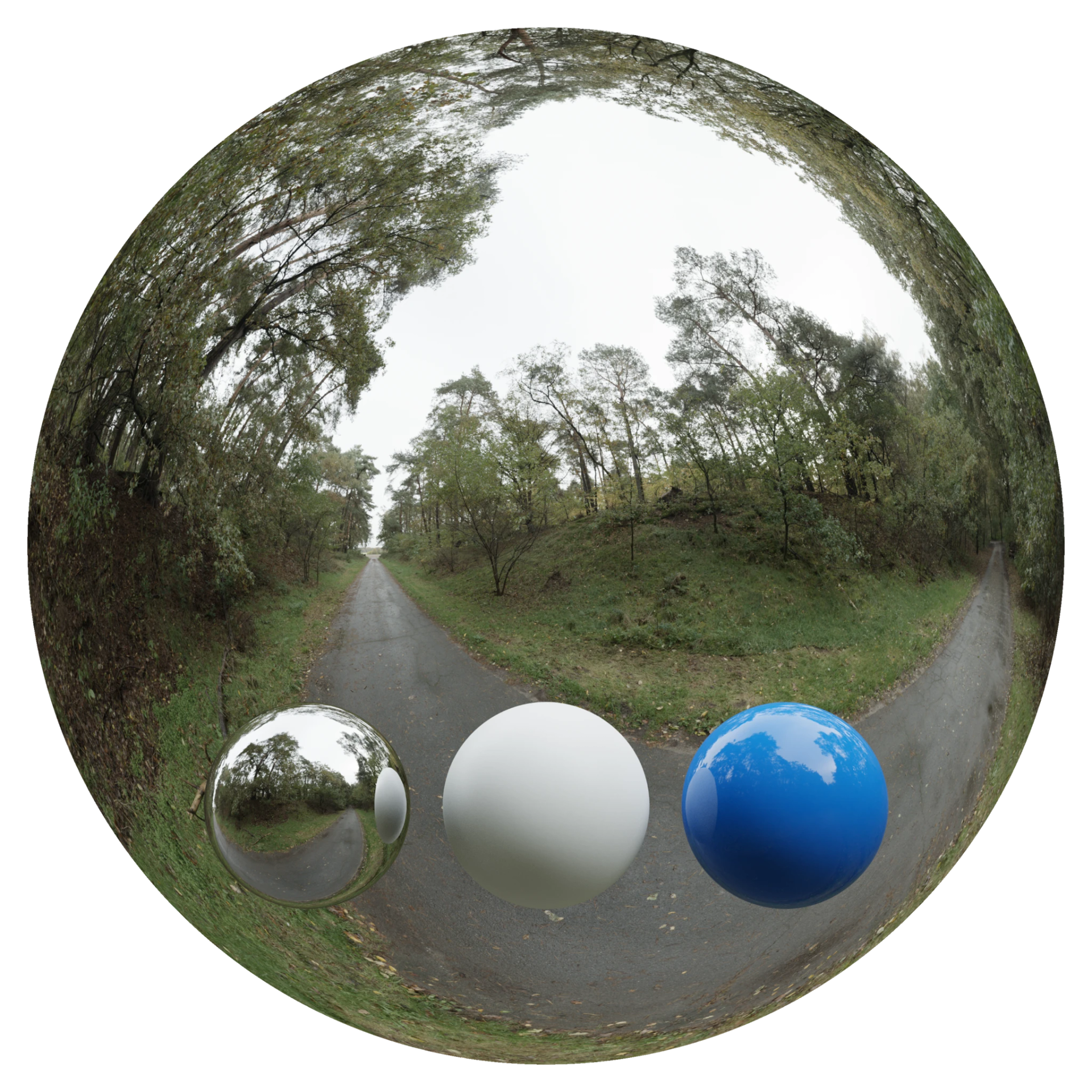 Day Environment HDRI 040