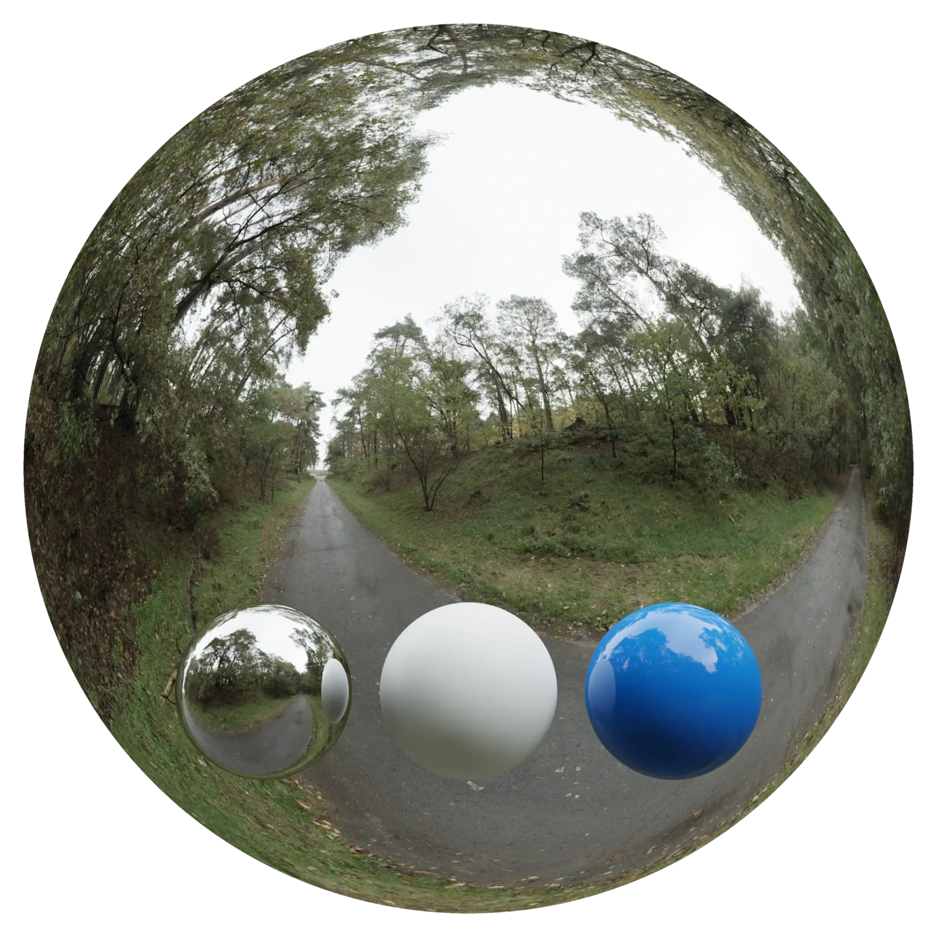 Day Environment HDRI 040