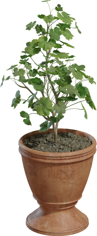 Potted Plant 1