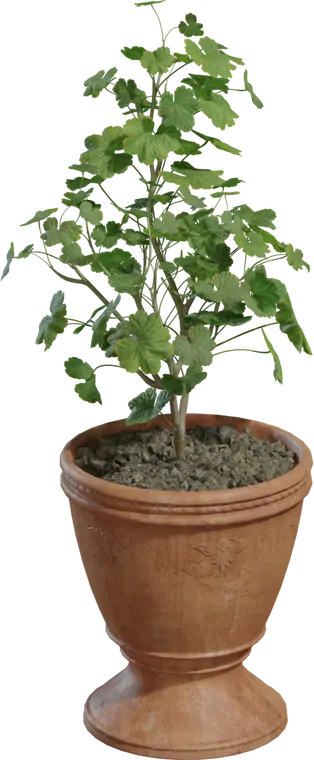 Potted Plant 1
