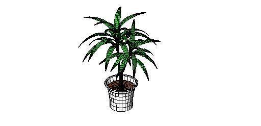 Plant 1