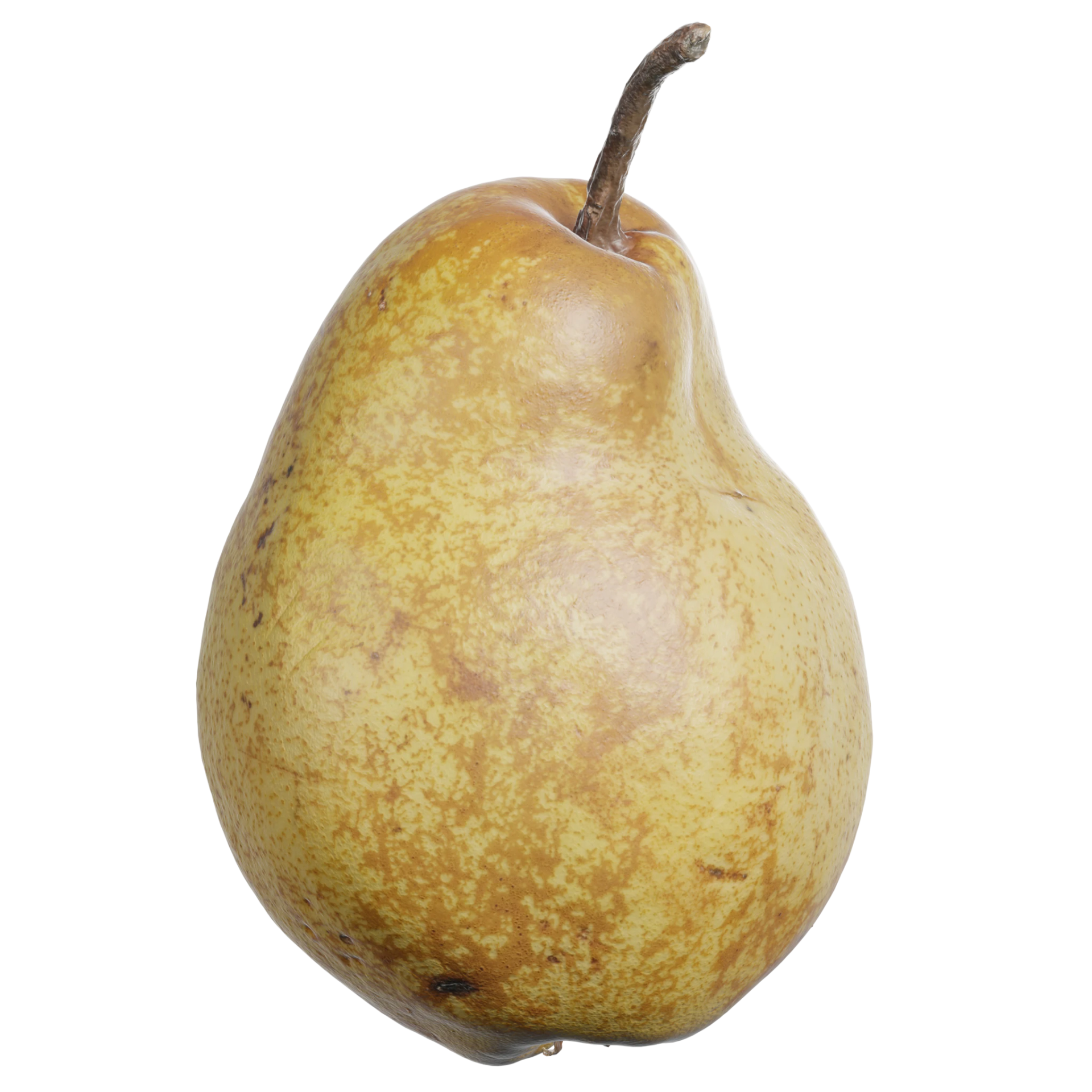 3D Pear 003