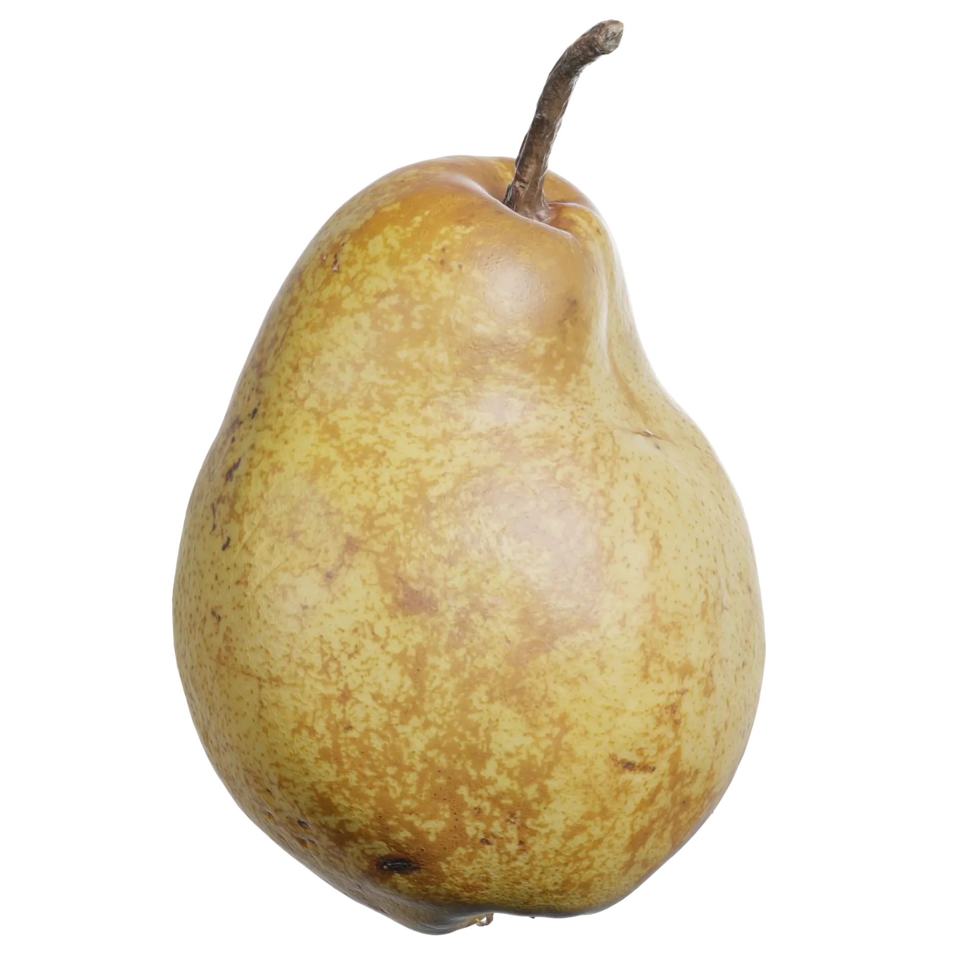 3D Pear 003