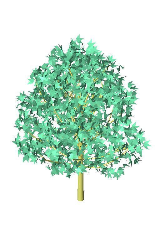 A_tree35