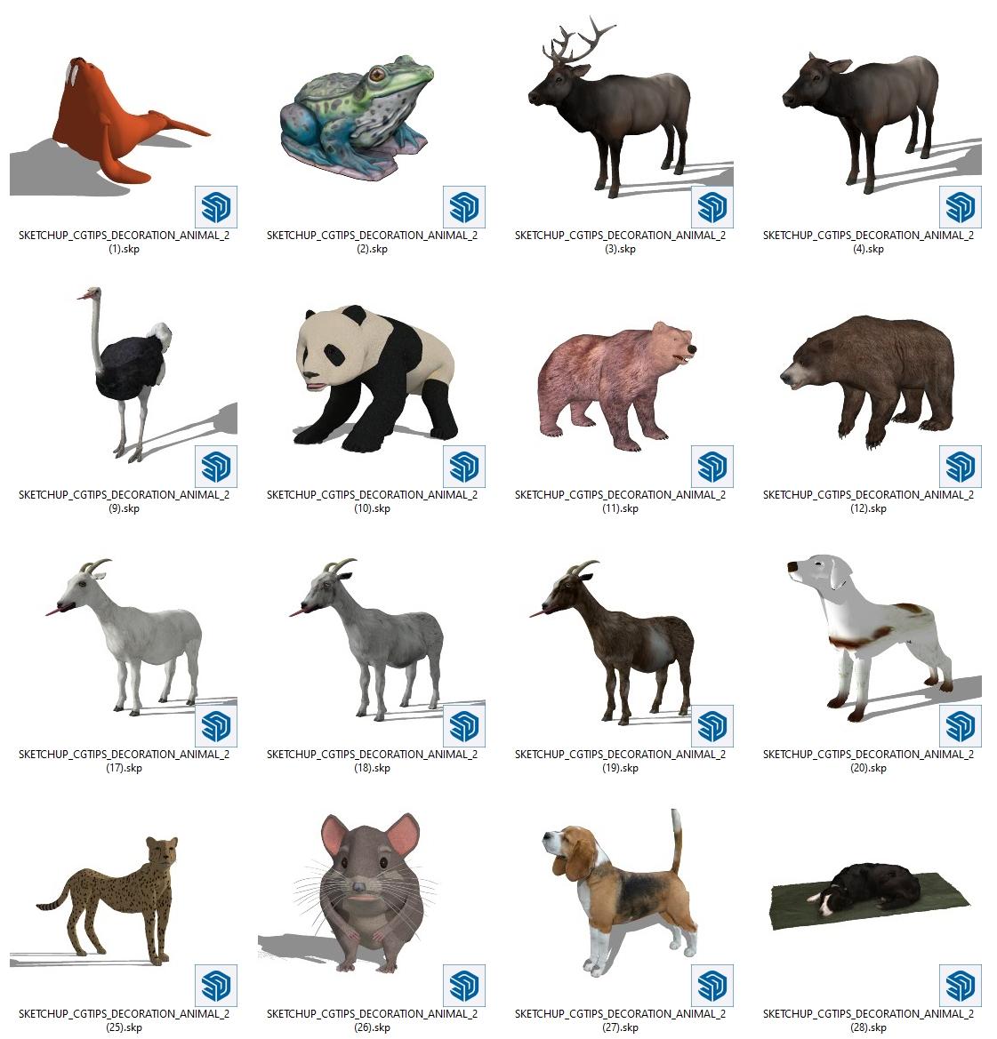 Animal