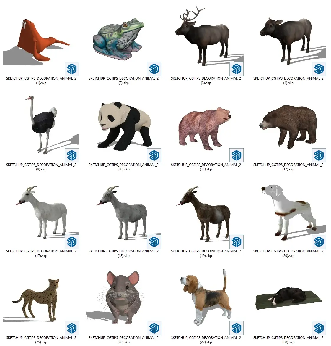 Animal