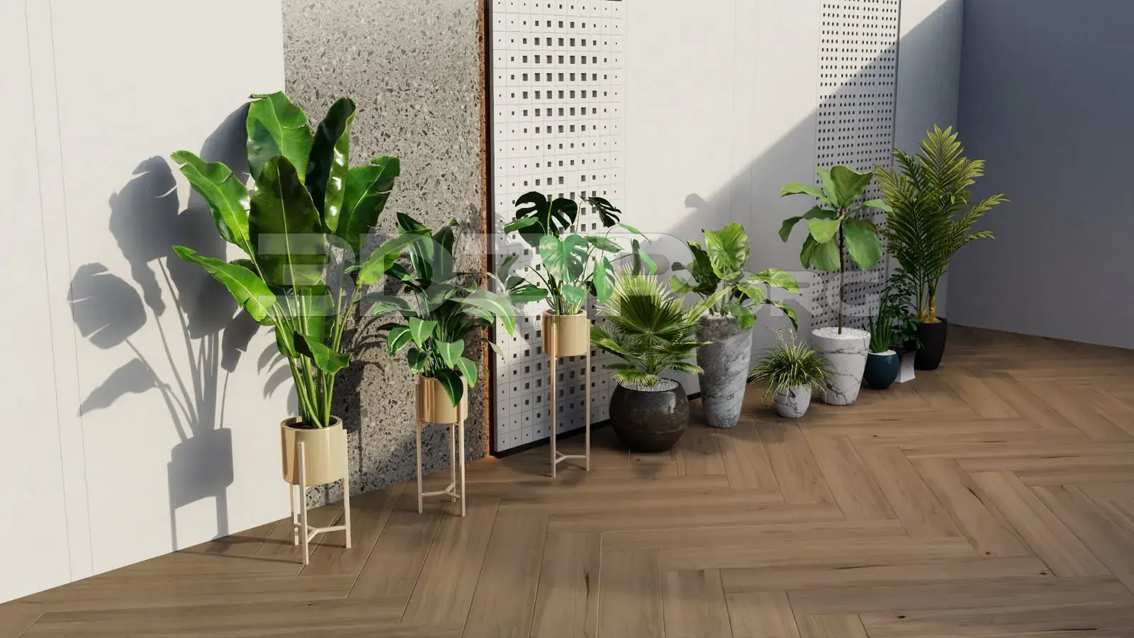 Plants