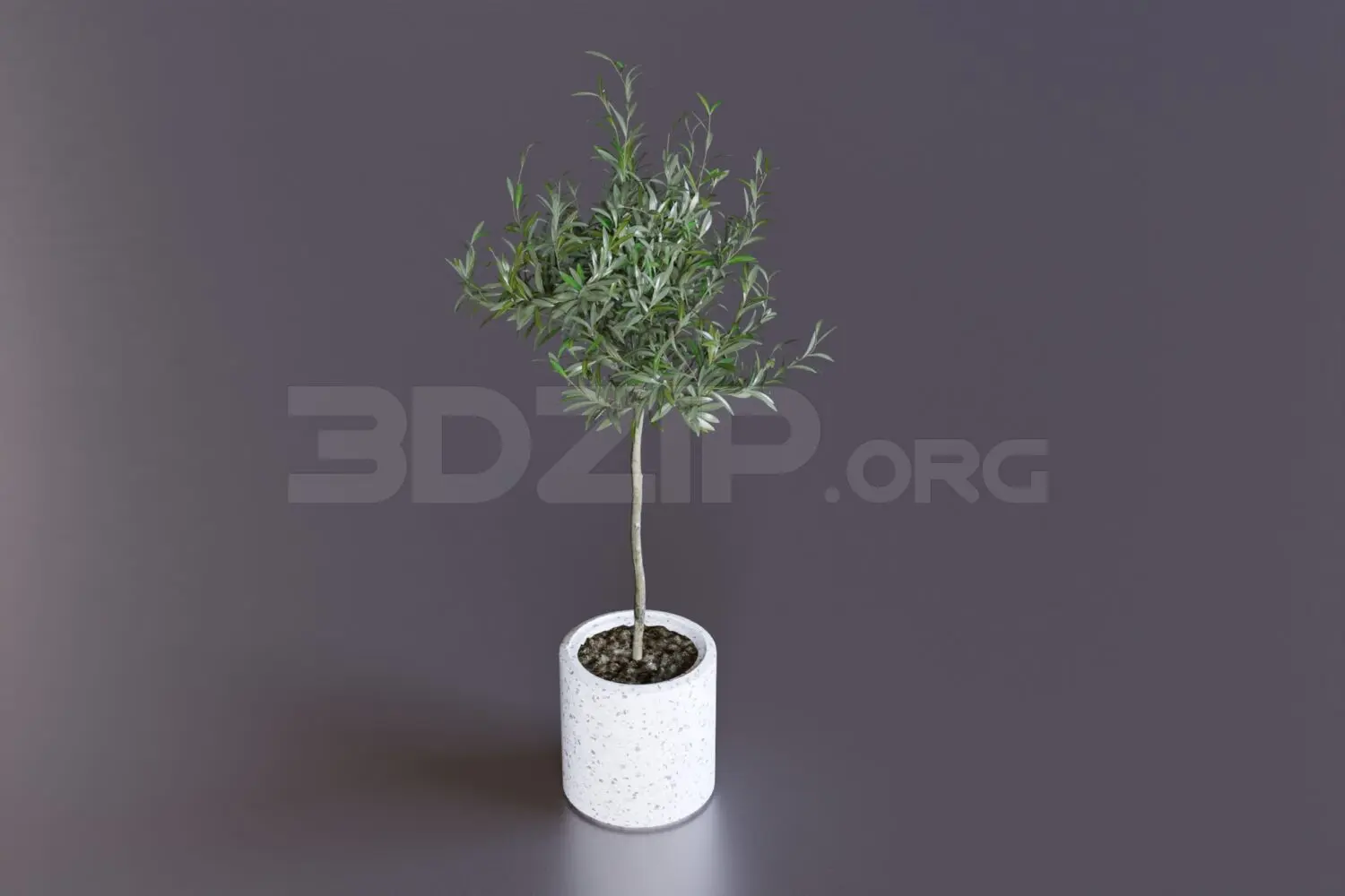 Plant — preview 1, by Khoa NQ (3dzip, CC0)