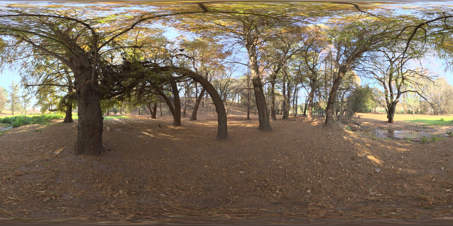 Woods