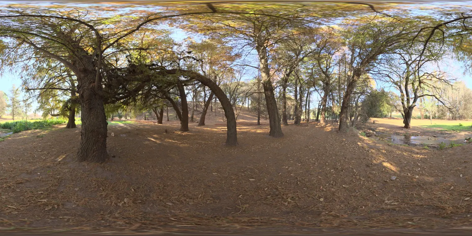 Woods