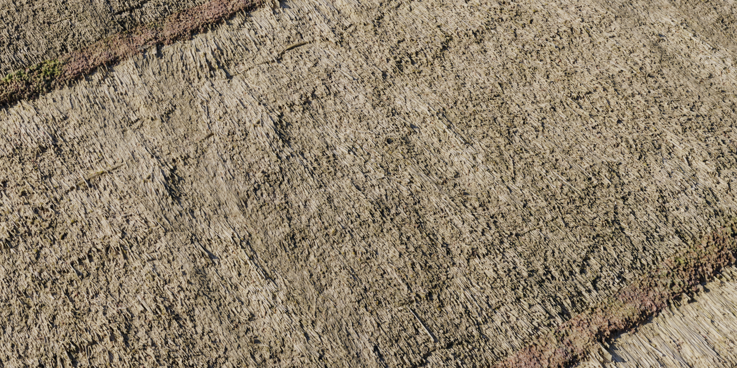 Reed Roof 4