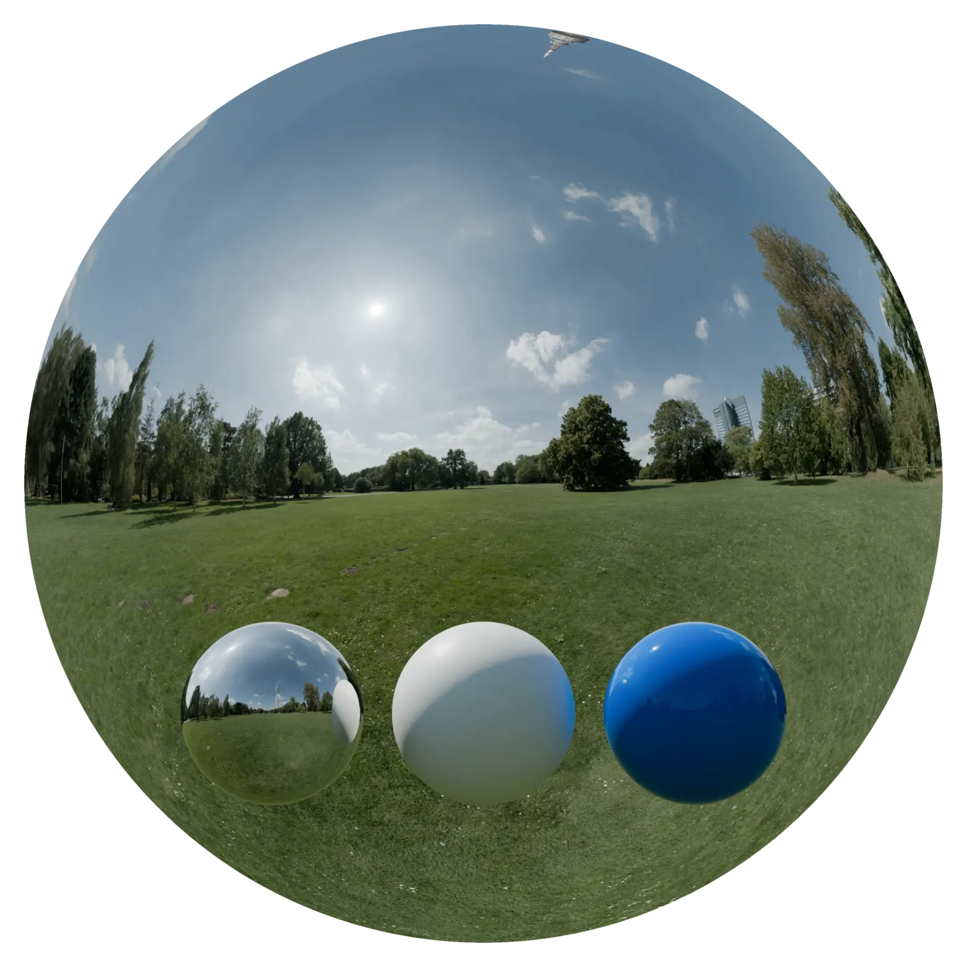 Day Environment HDRI 057