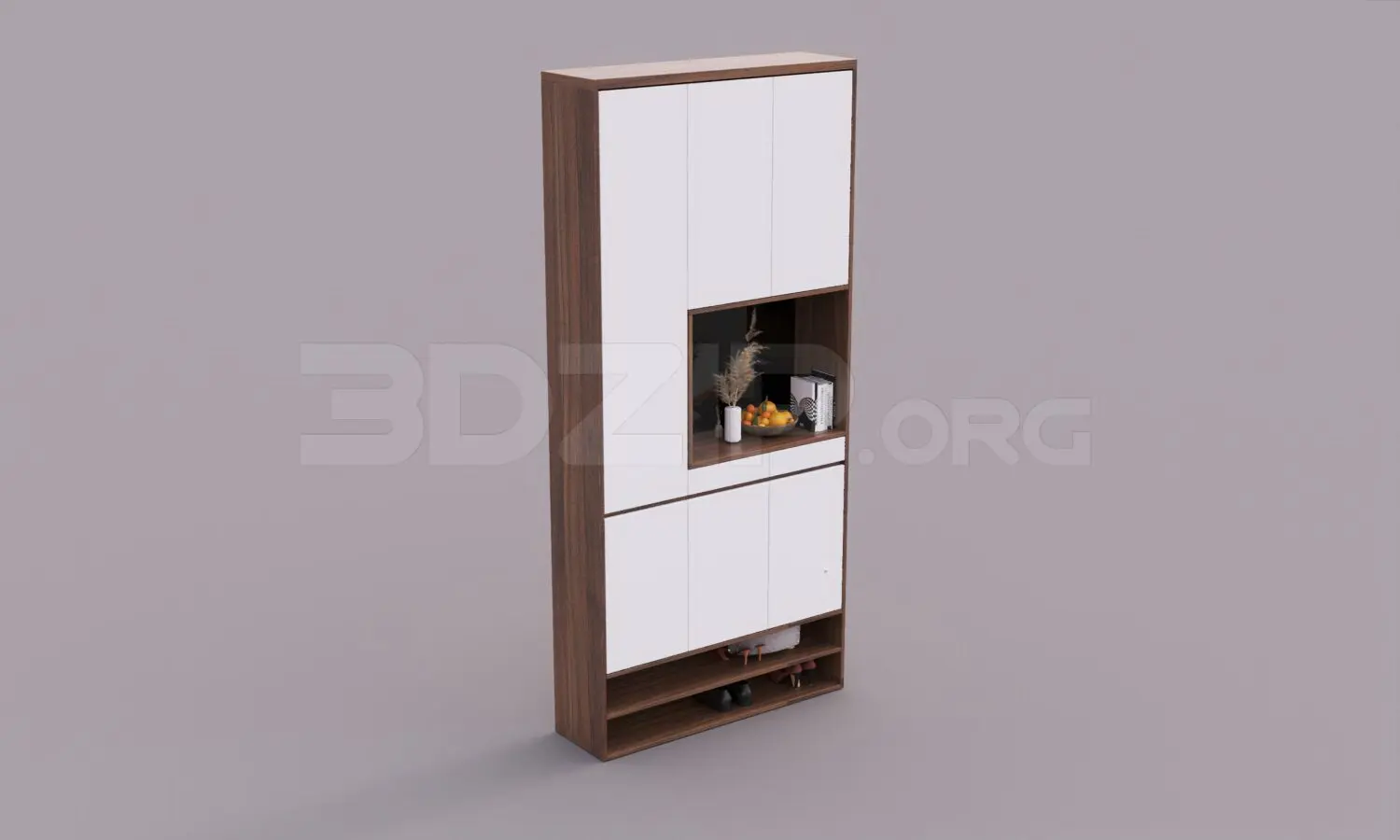 Shoe Cabinet