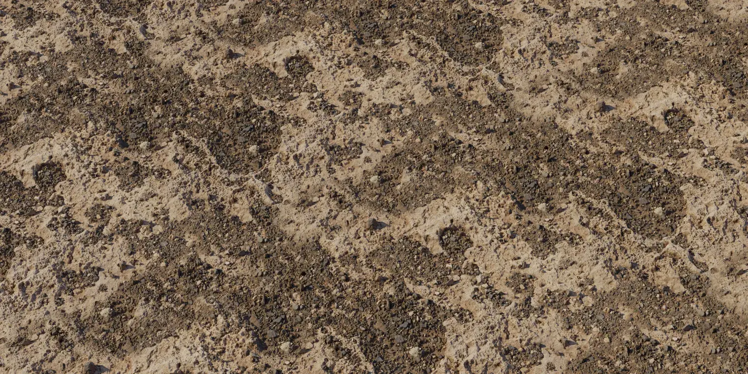 Coral Ground 2