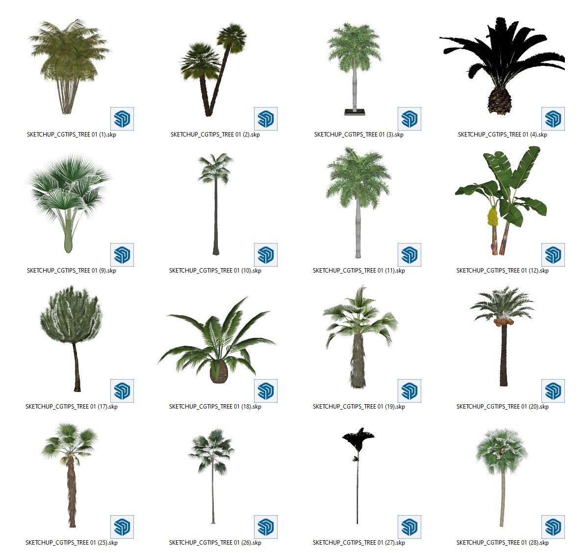 Trees