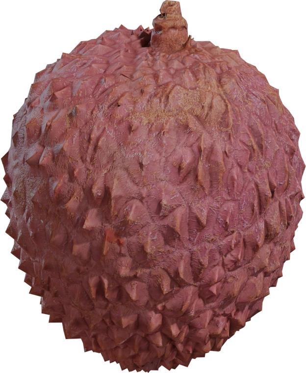 Food Lychee 1