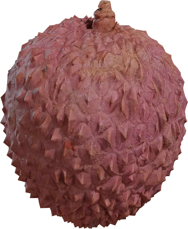 Food Lychee 1