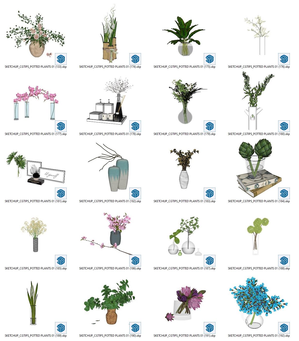 Potted Plants