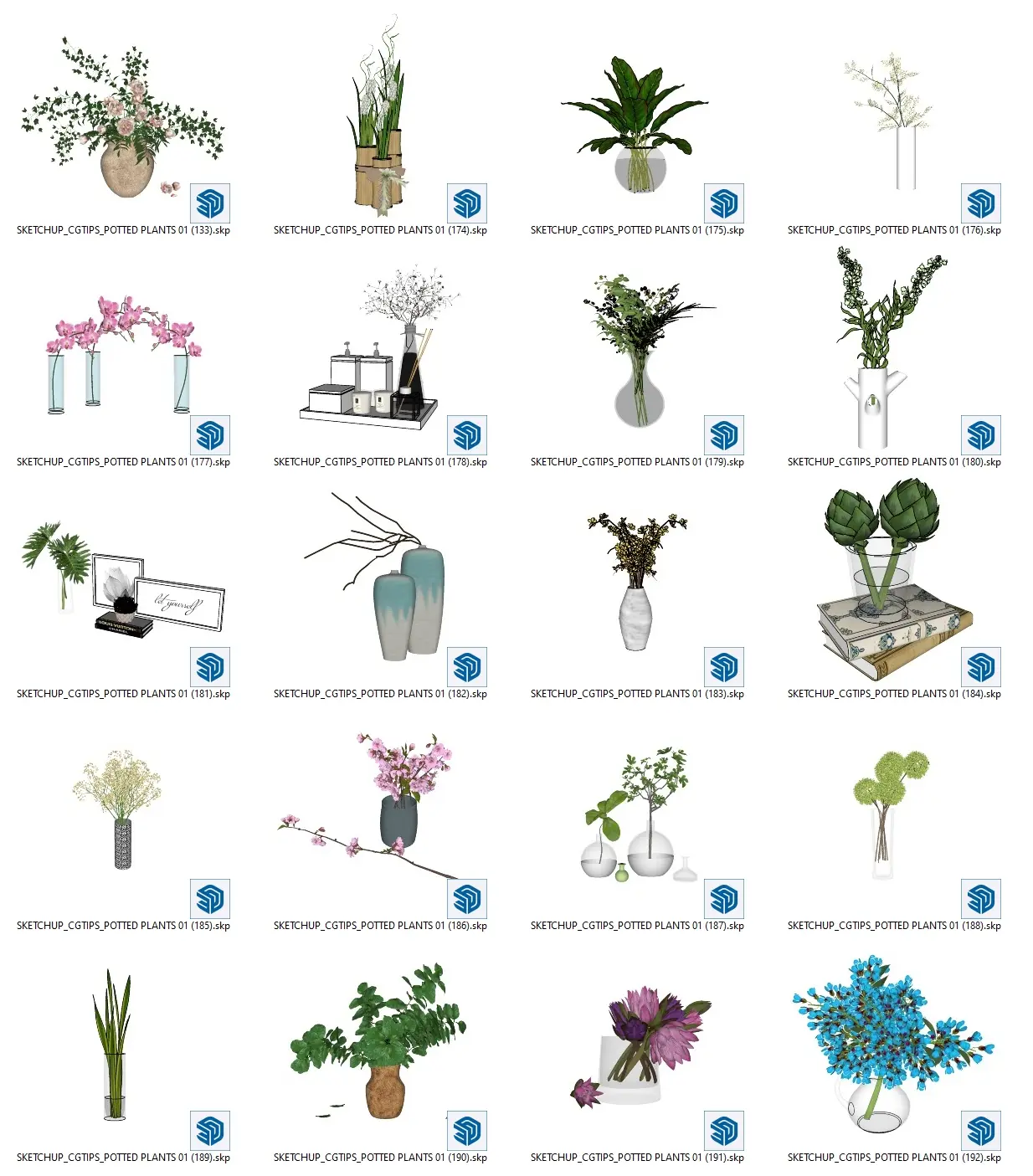 Potted Plants