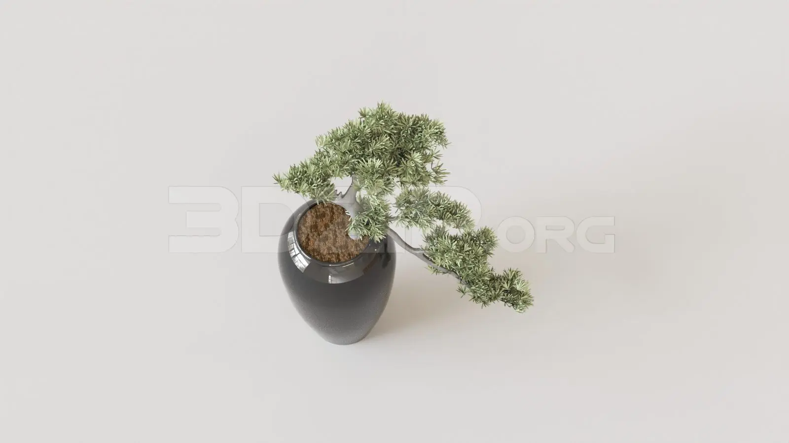 BonSai Tree