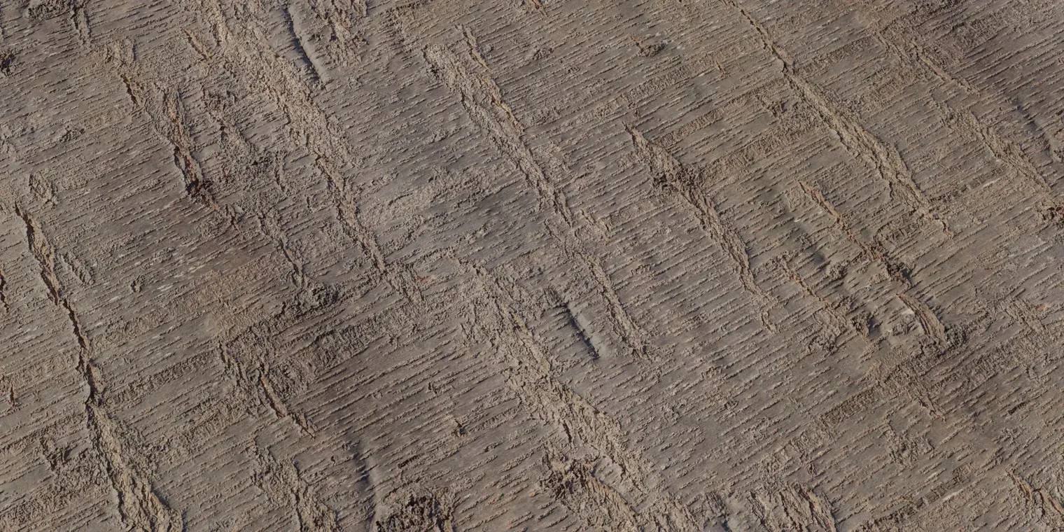 Sakura Bark