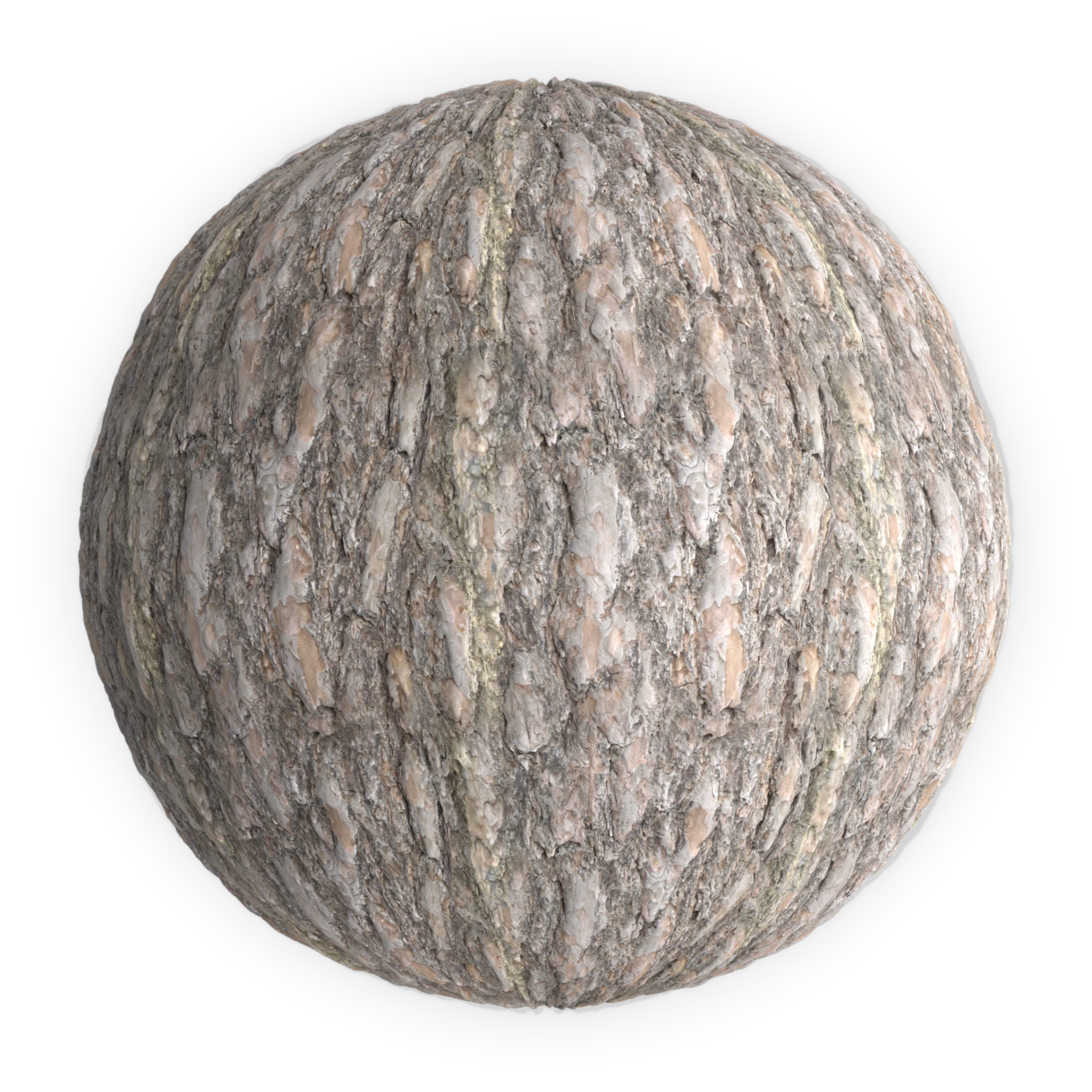 Bark 004