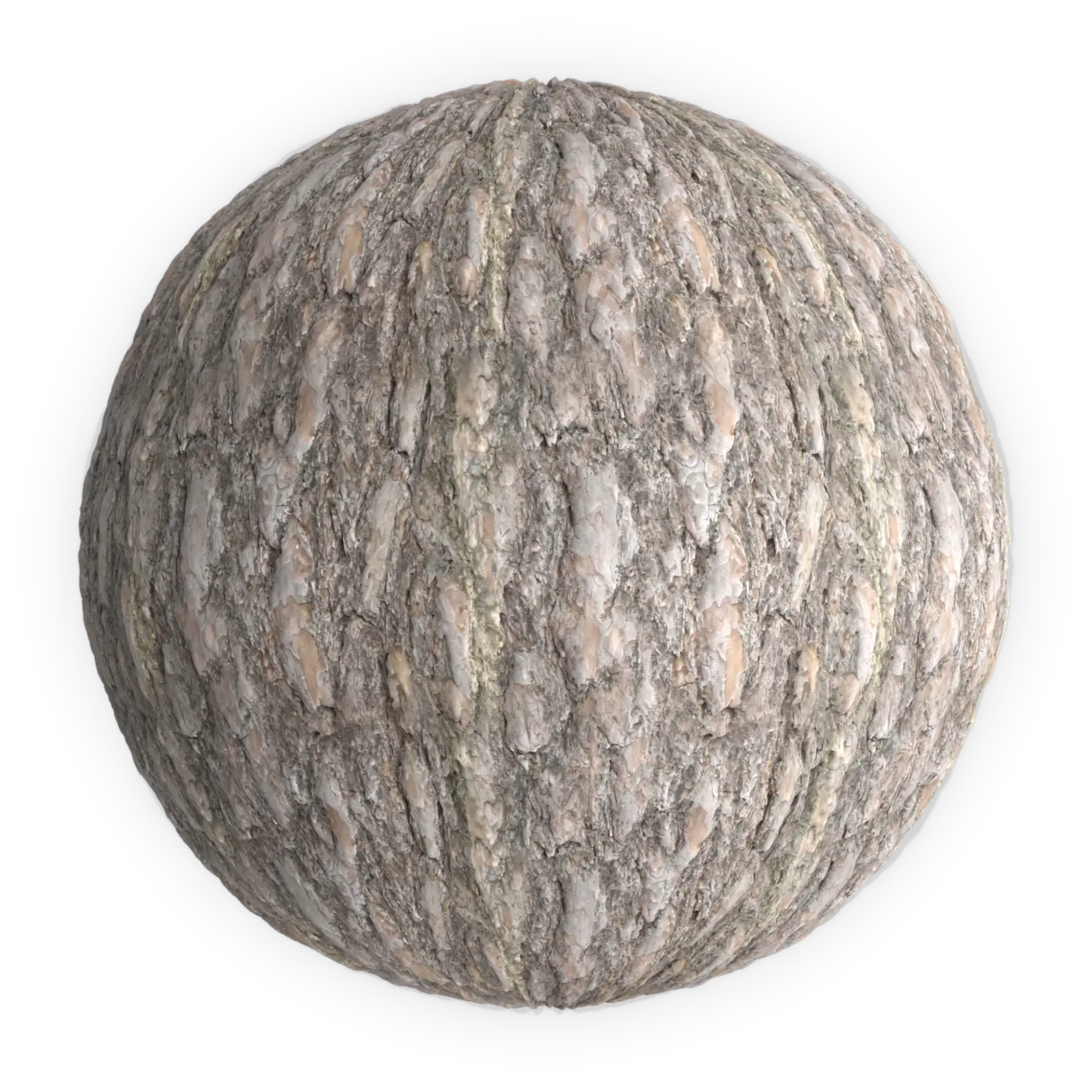 Bark 004