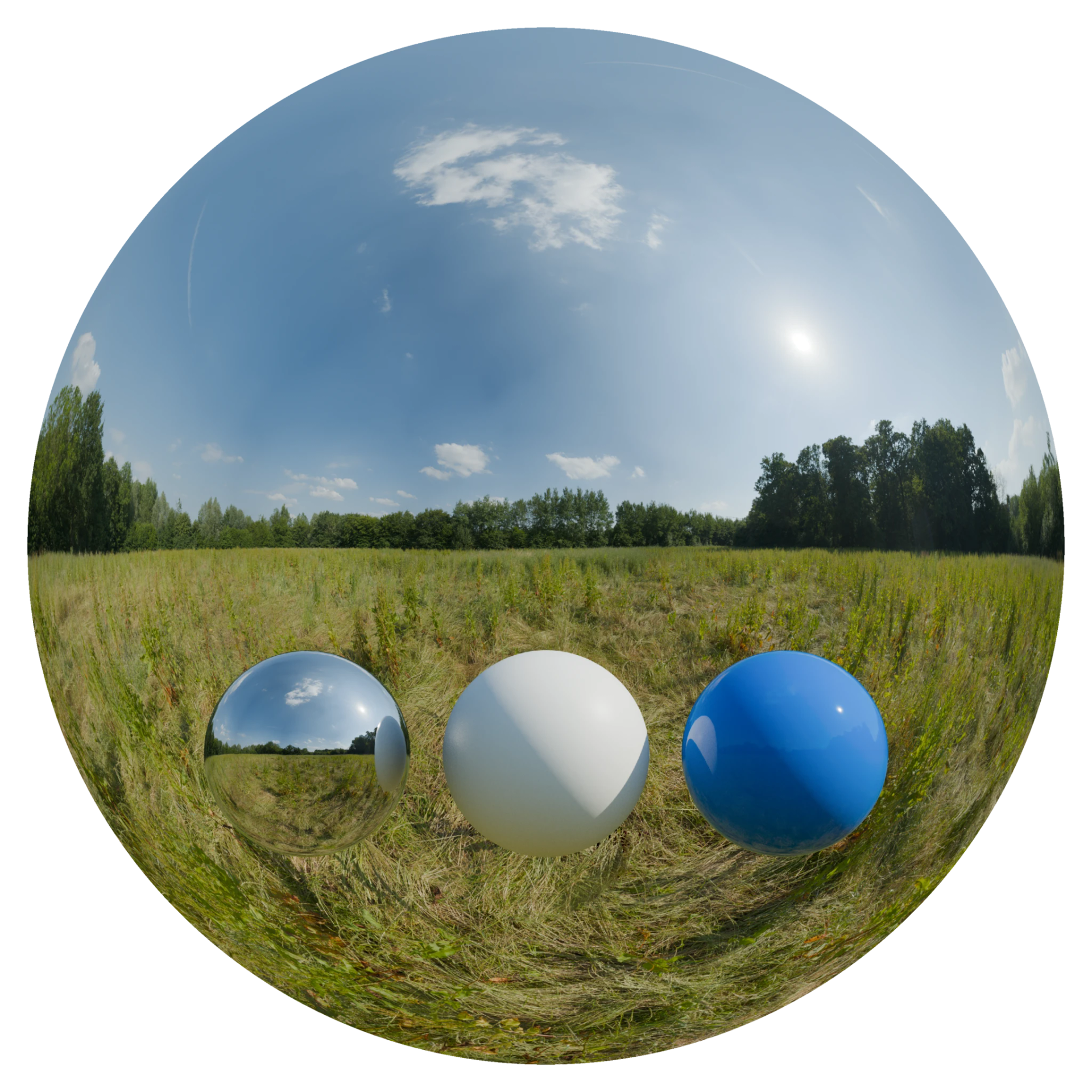 Day Environment HDRI 111