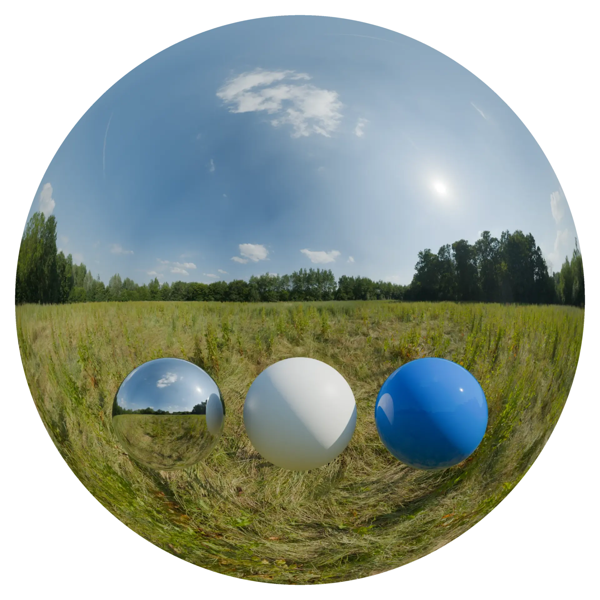 Day Environment HDRI 111