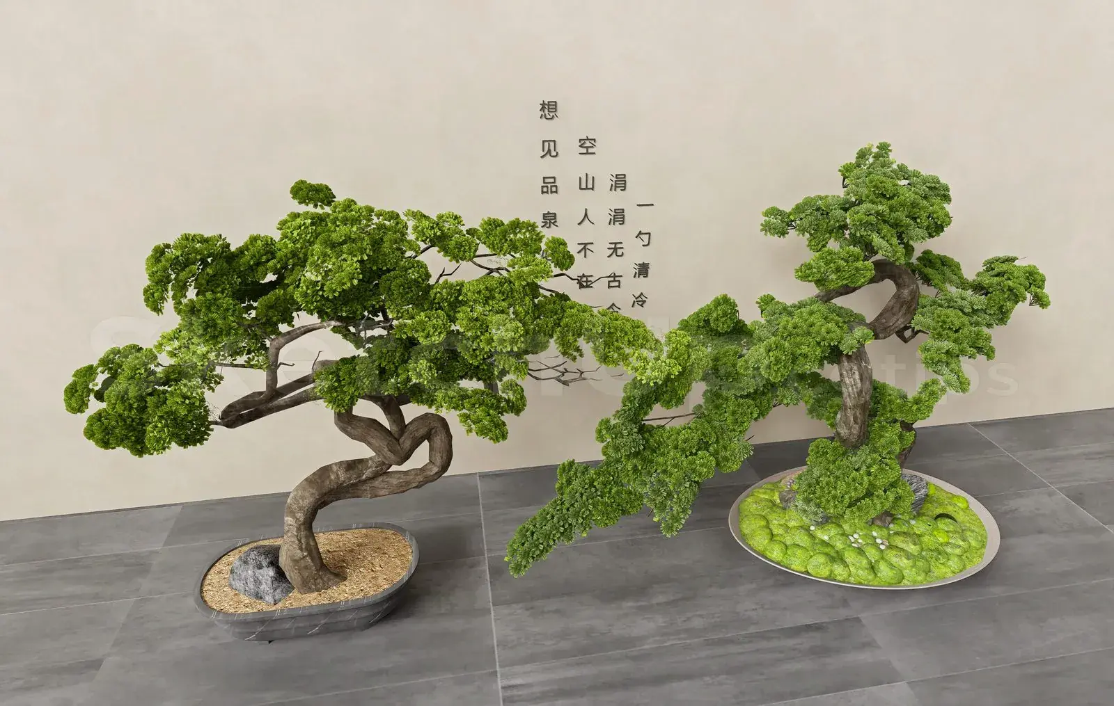 BonSai Tree