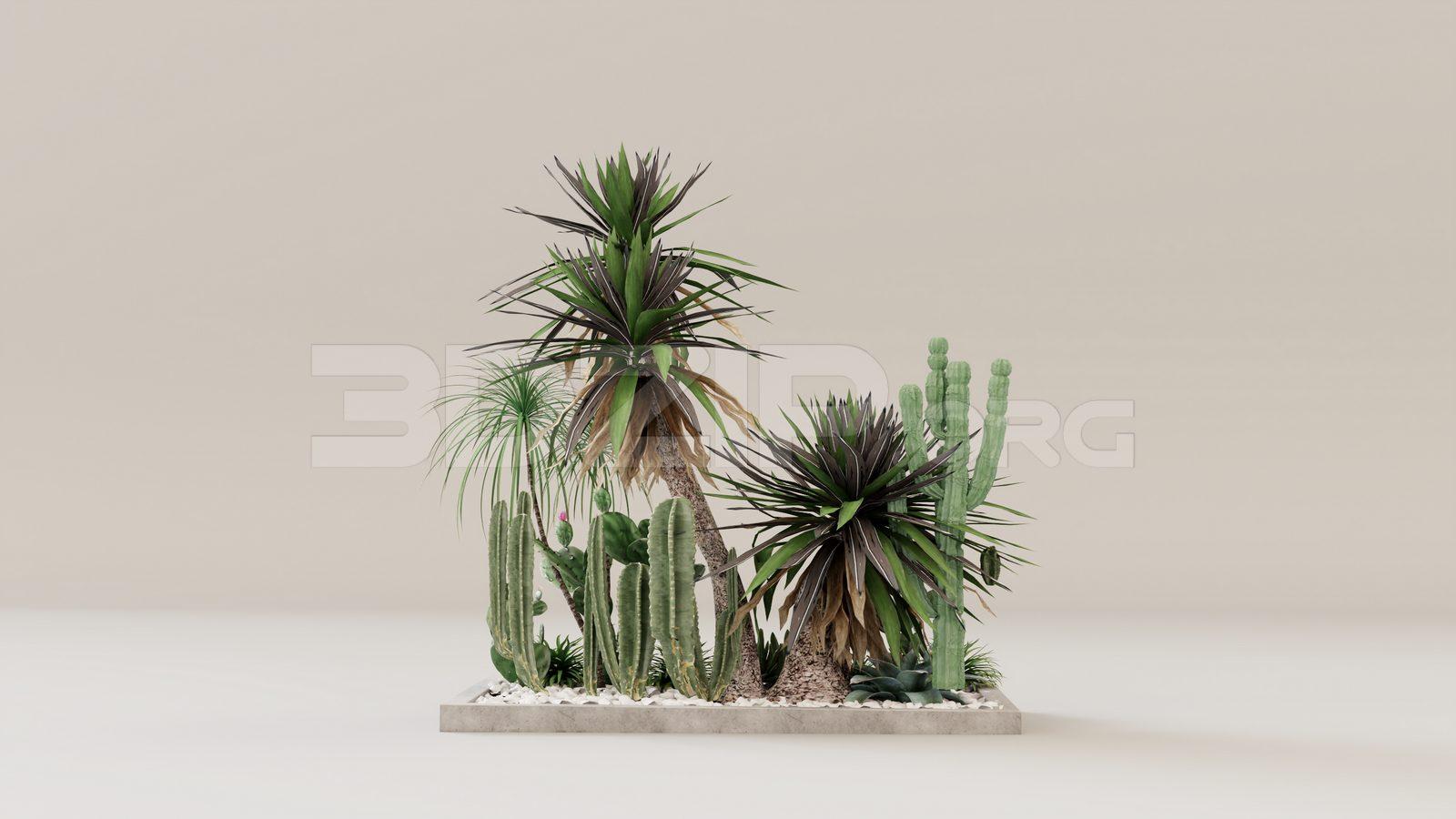 Plant
