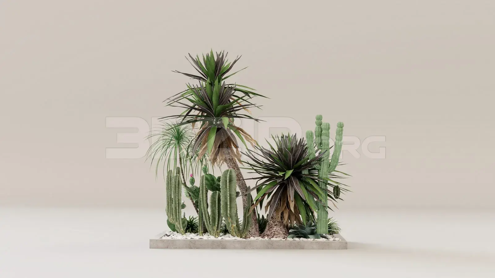 Plant