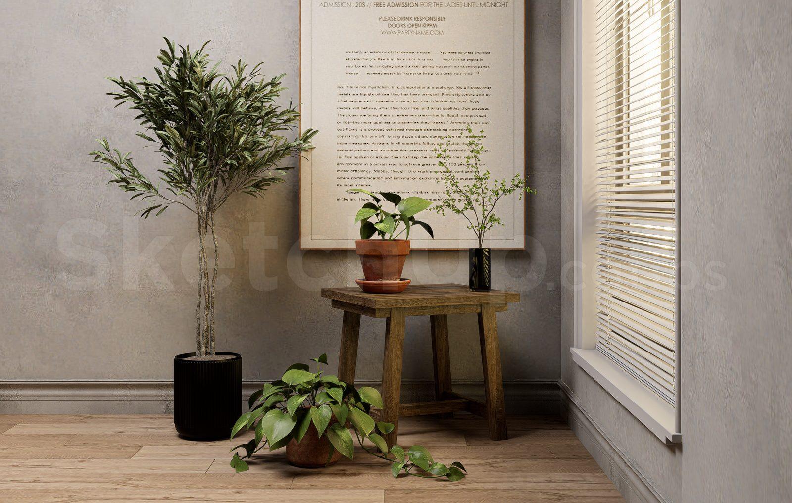 Plant