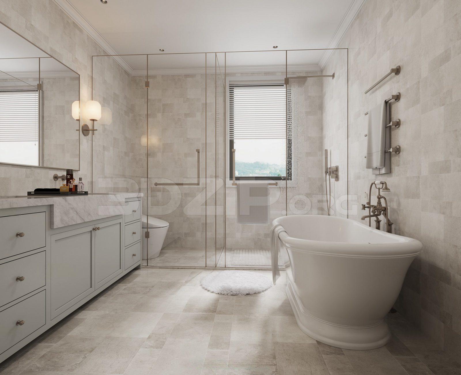 Bathroom Interior